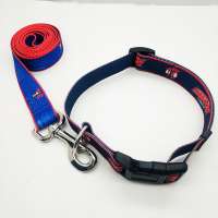 new dog harness and leash set